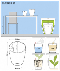 office plants